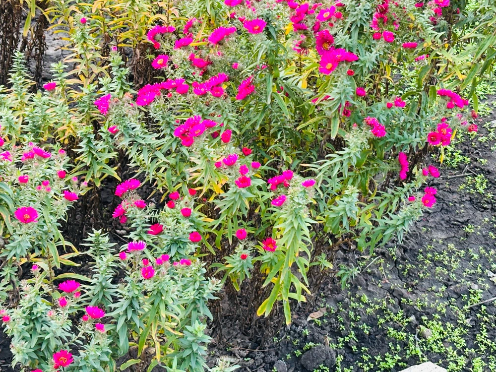 The autumn can be beautiful