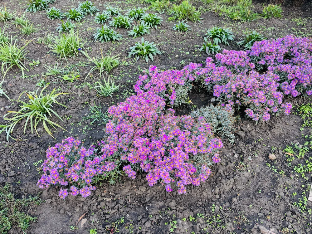 The autumn can be beautiful