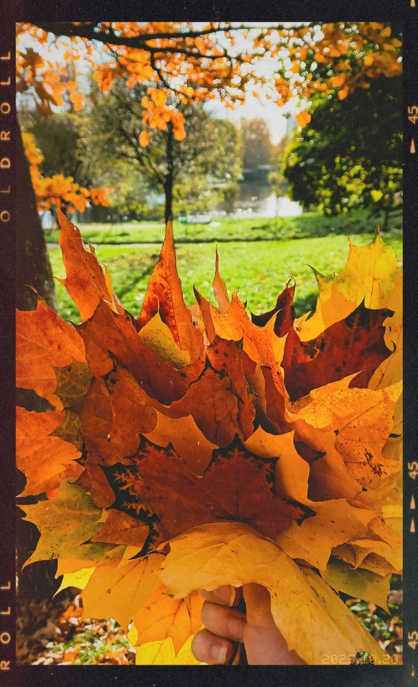 Фото загрузил Hagя