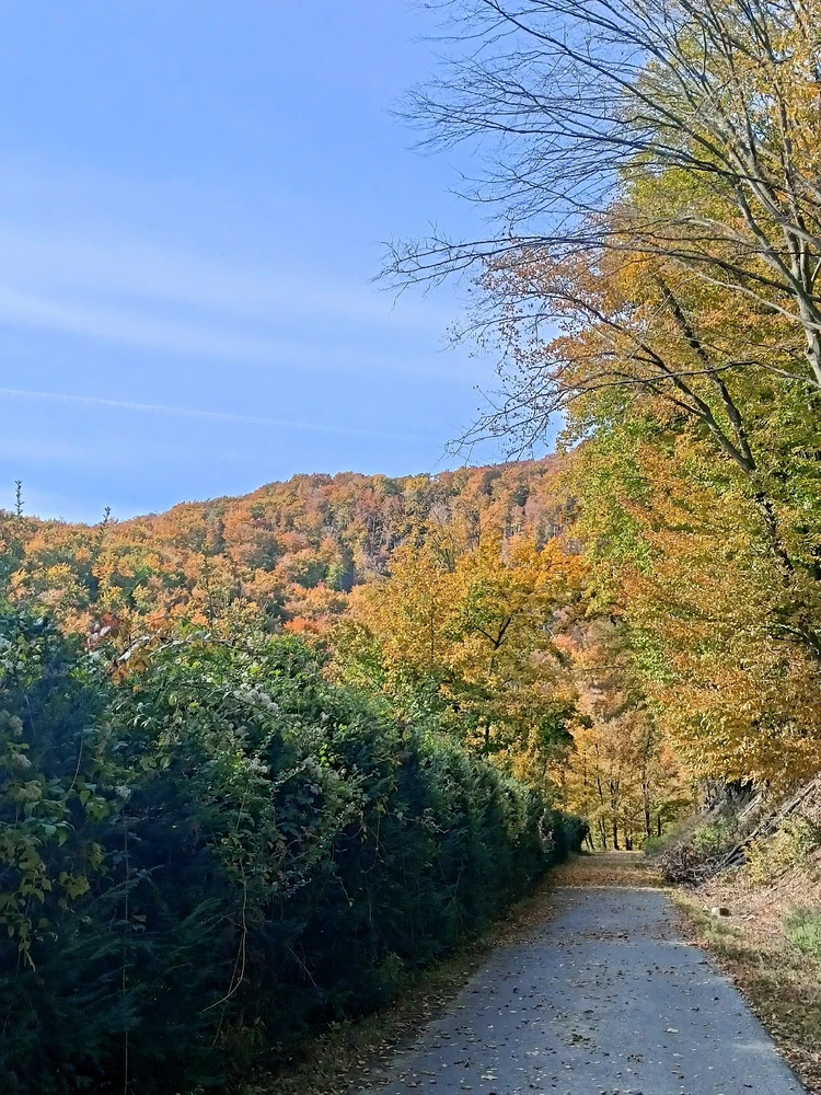 Fotku nahral/-a Lukáš