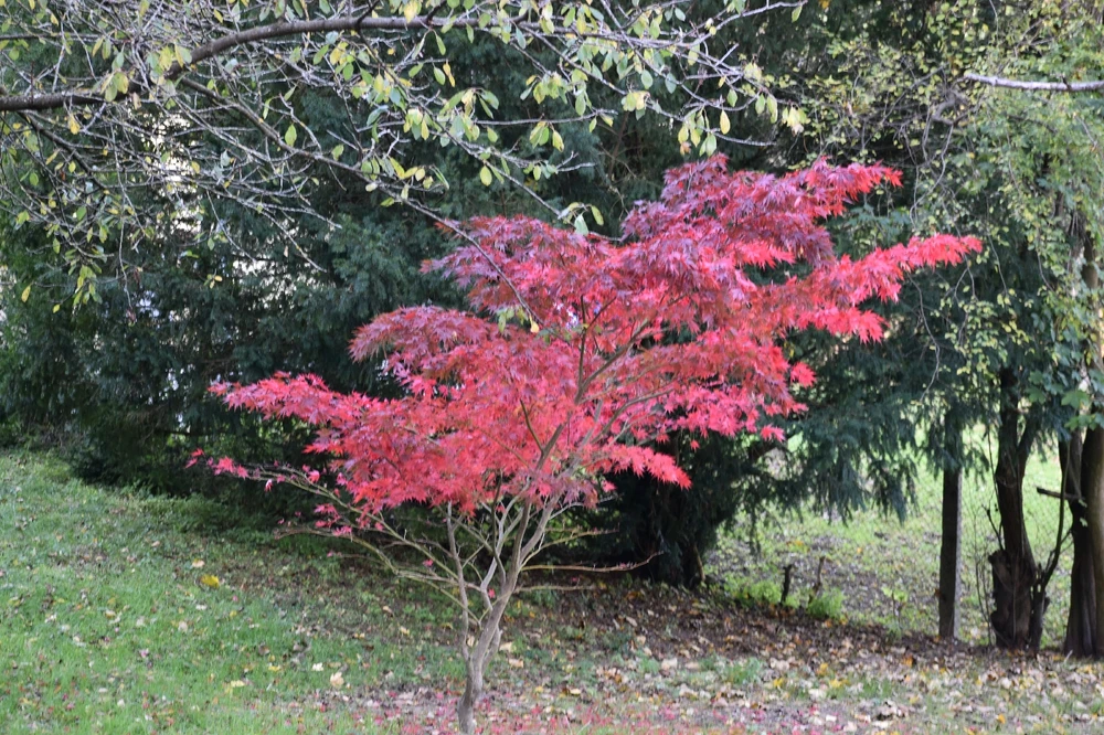 Fotku nahral/-a Lukáš