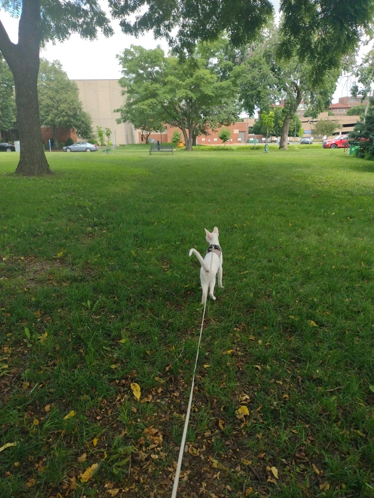 Image uploaded by Lamour