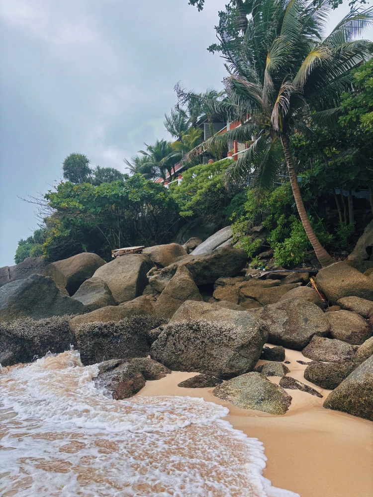 Image uploaded by Patβ‘