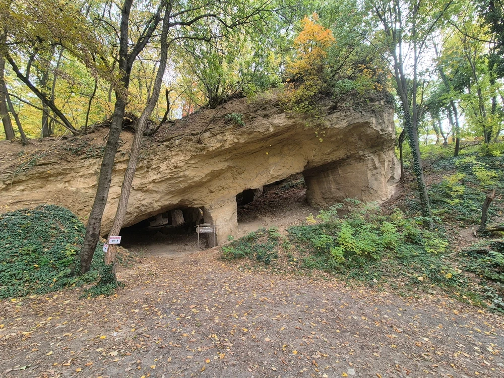 Sliku je postavio/la Andrija
