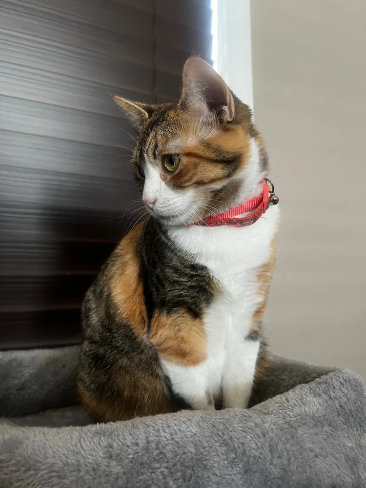 GIF uploaded by James