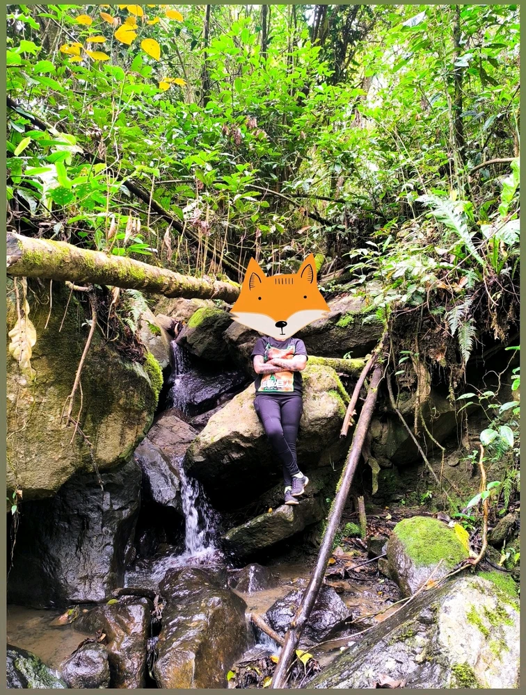 Chucky en su sendero