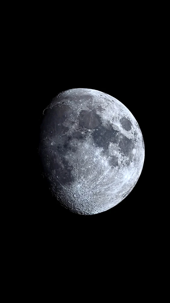 Adam上传的GIF