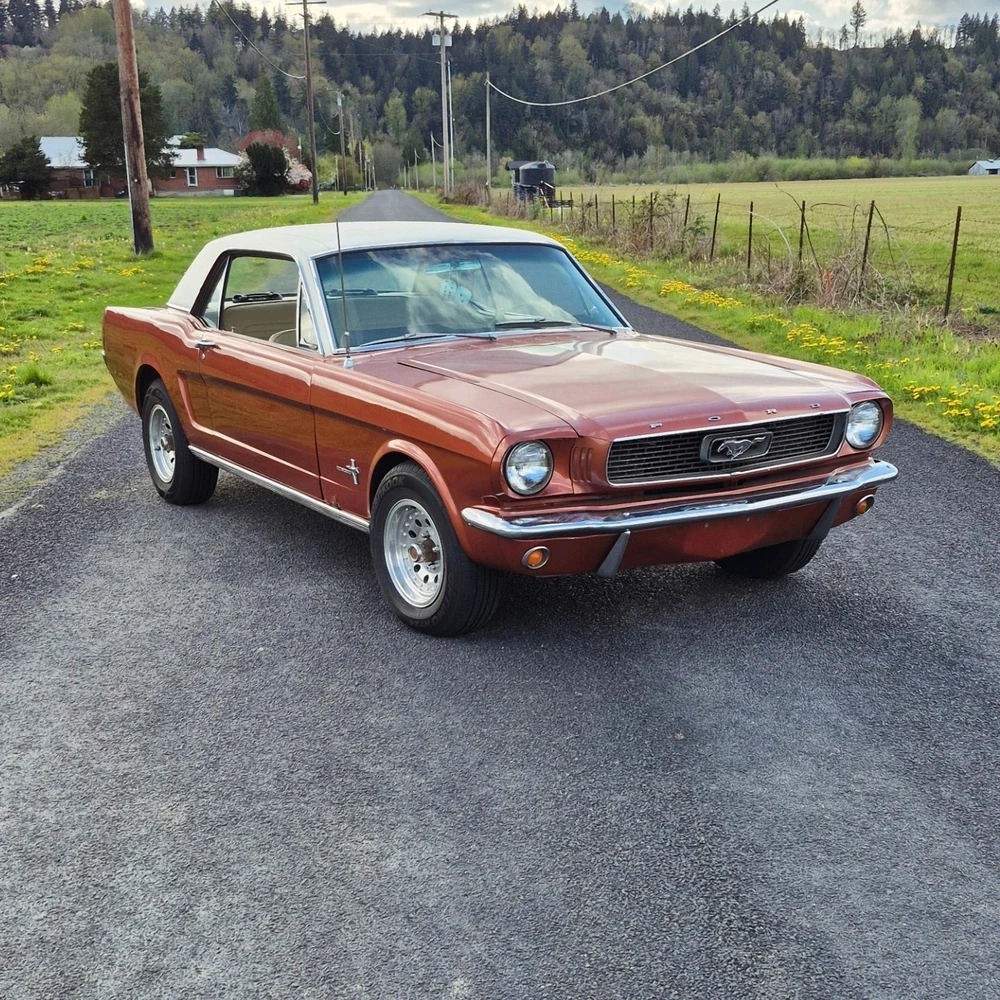 Mustang appreciation