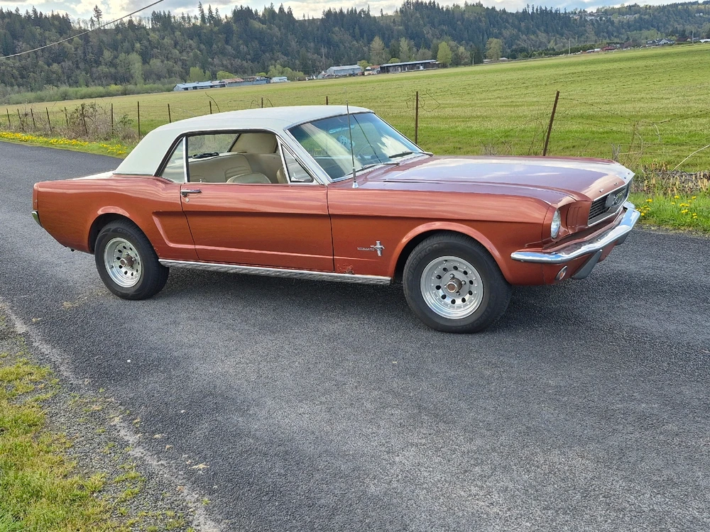 Mustang appreciation