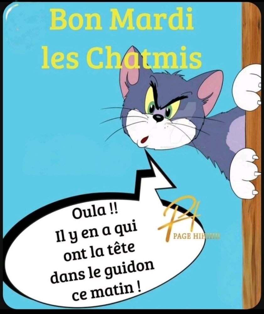 Un coucou du matin 🙋🌸