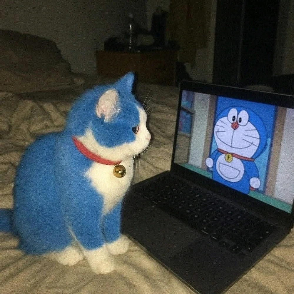 Doraemon :³