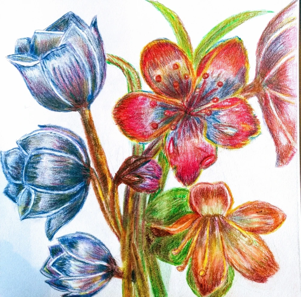 GIF uploaded by Mika