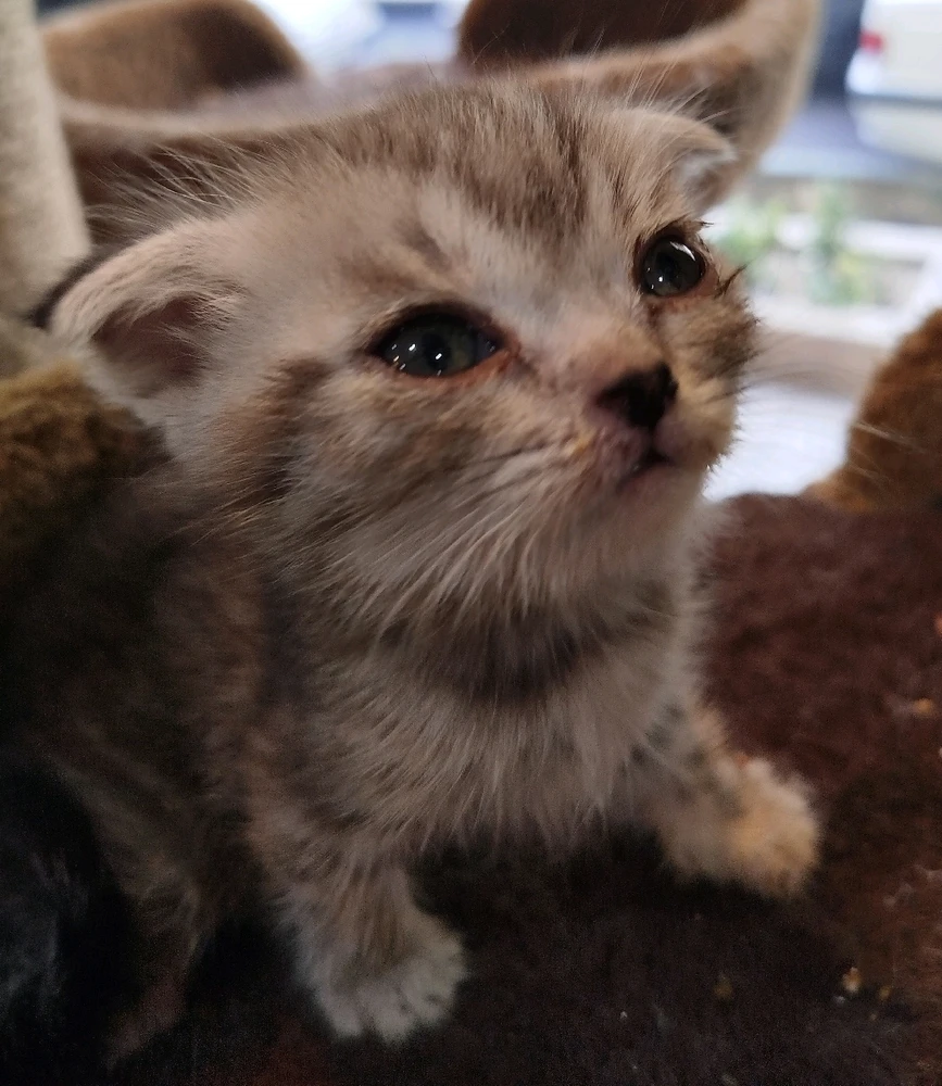 تصویر آپلود شده توسط sadra