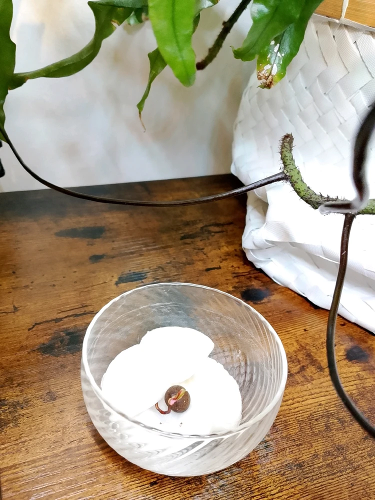 Immagine caricata da Dαηιℓσ