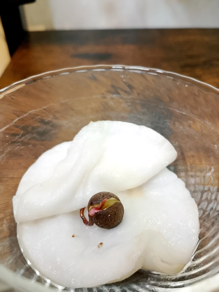 Immagine caricata da Dαηιℓσ