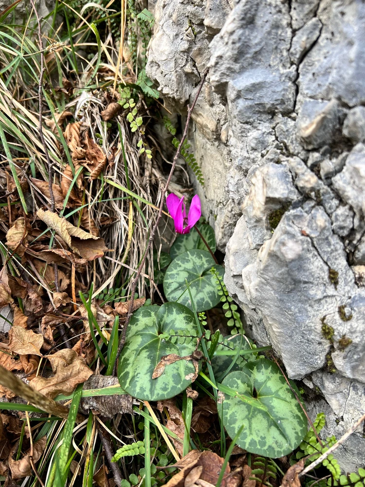 GIF caricata da Raffaele