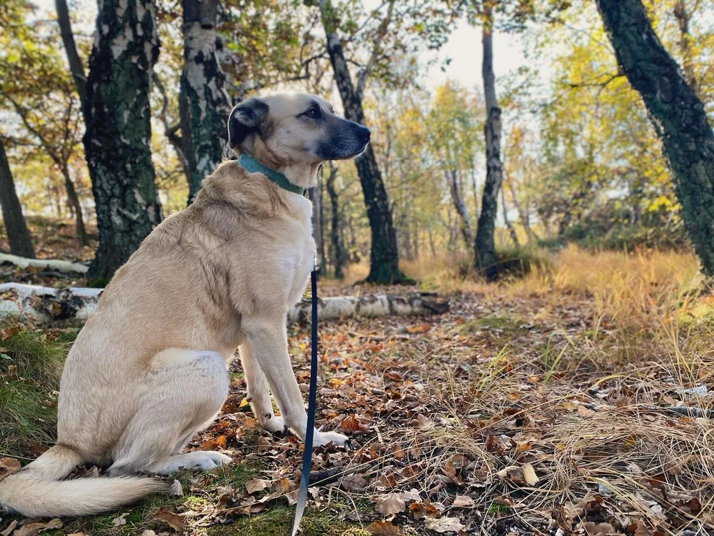 Bild uppladdad av David