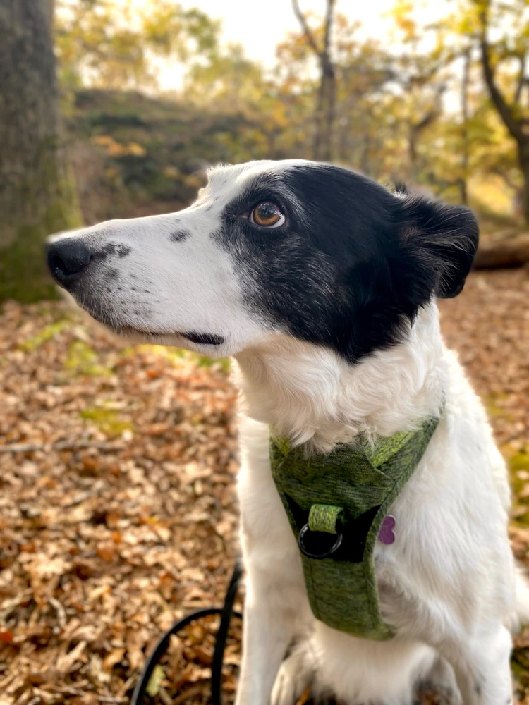 Bild uppladdad av David