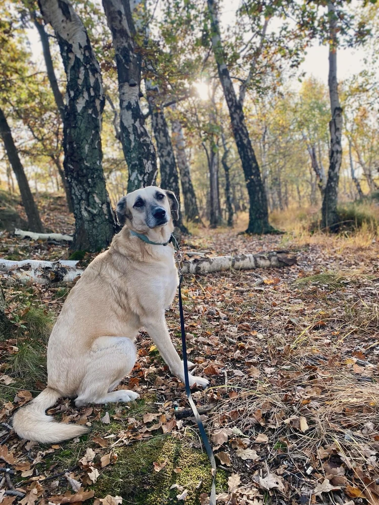 Bild uppladdad av David