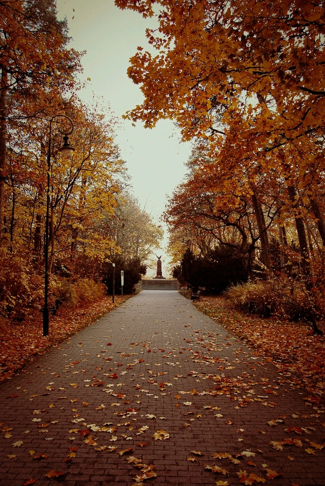 Jesień z zeszłego roku