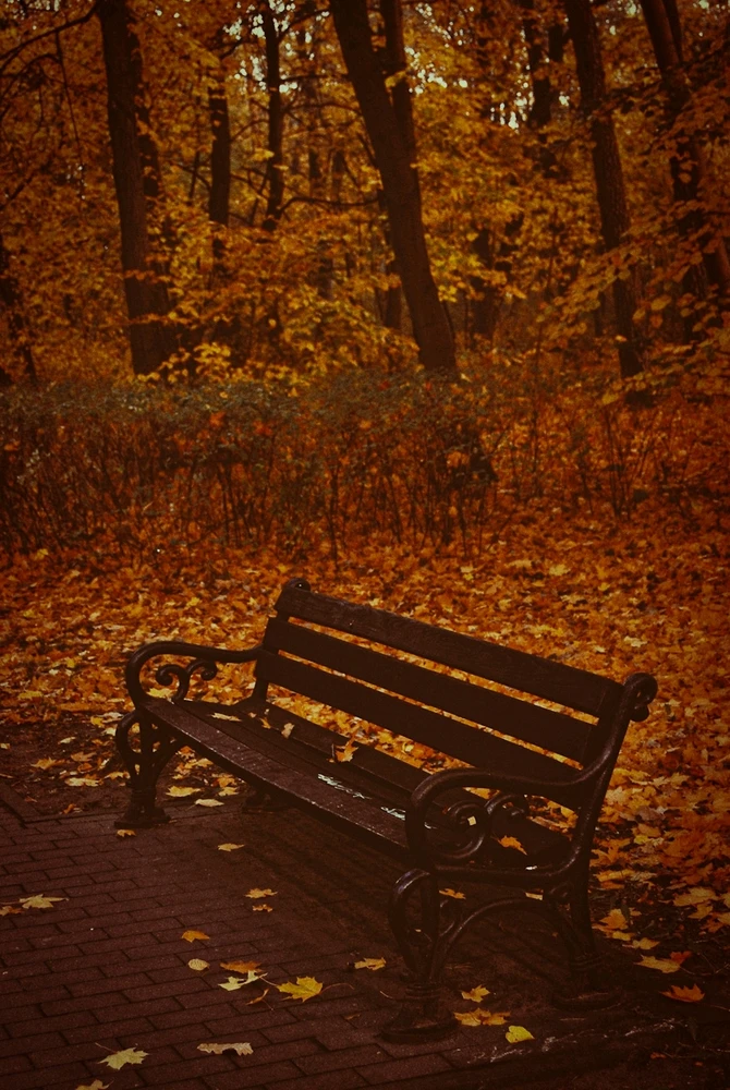 Jesień z zeszłego roku