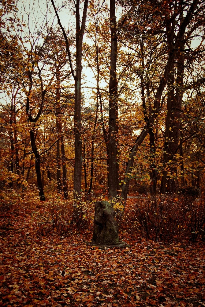 Jesień z zeszłego roku