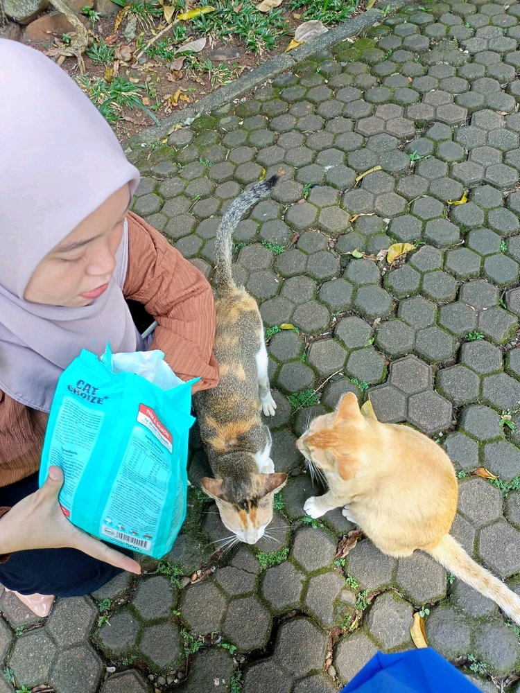 GIF diunggah oleh Tri Setia