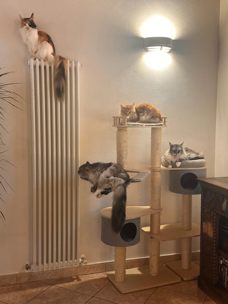 Immagine caricata da Roberto