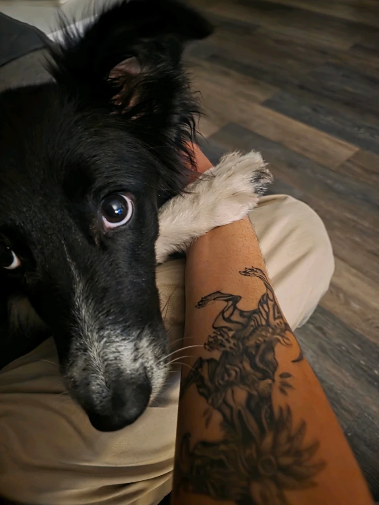 GIF uploaded by Miguel