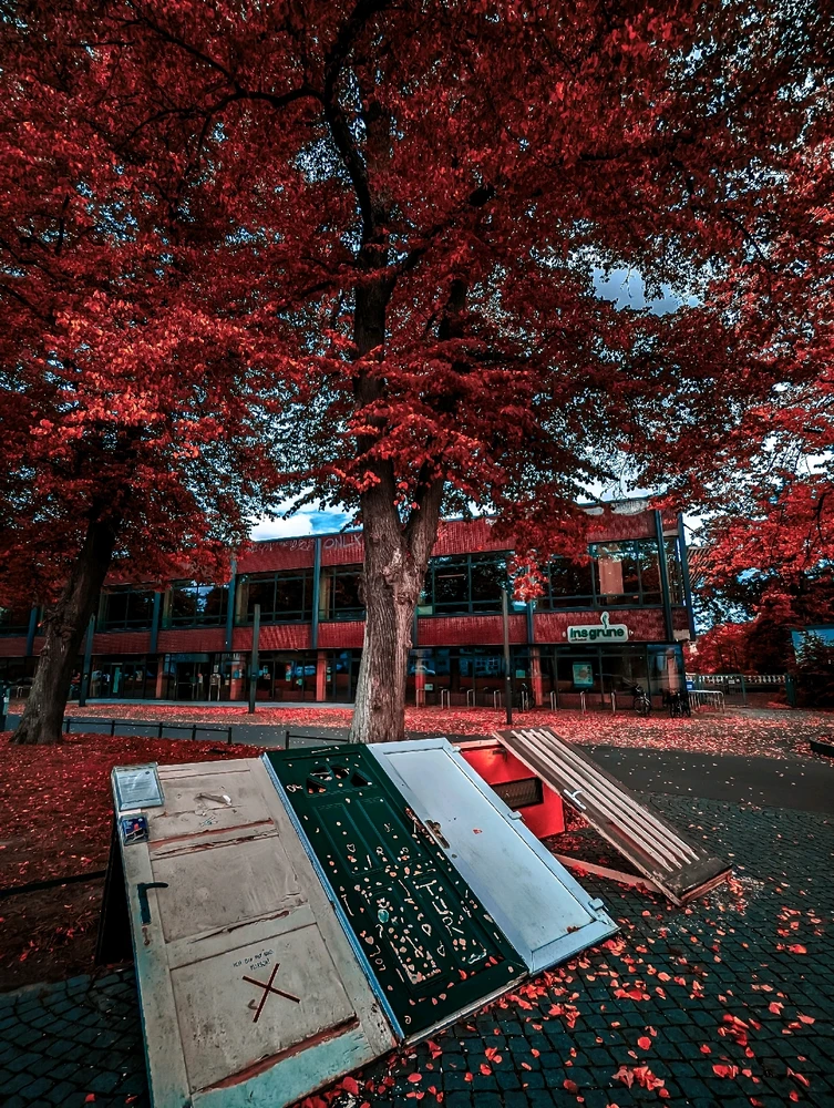 GIF uploaded by Natalie