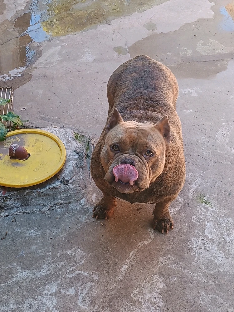 GIF subido por Anoon