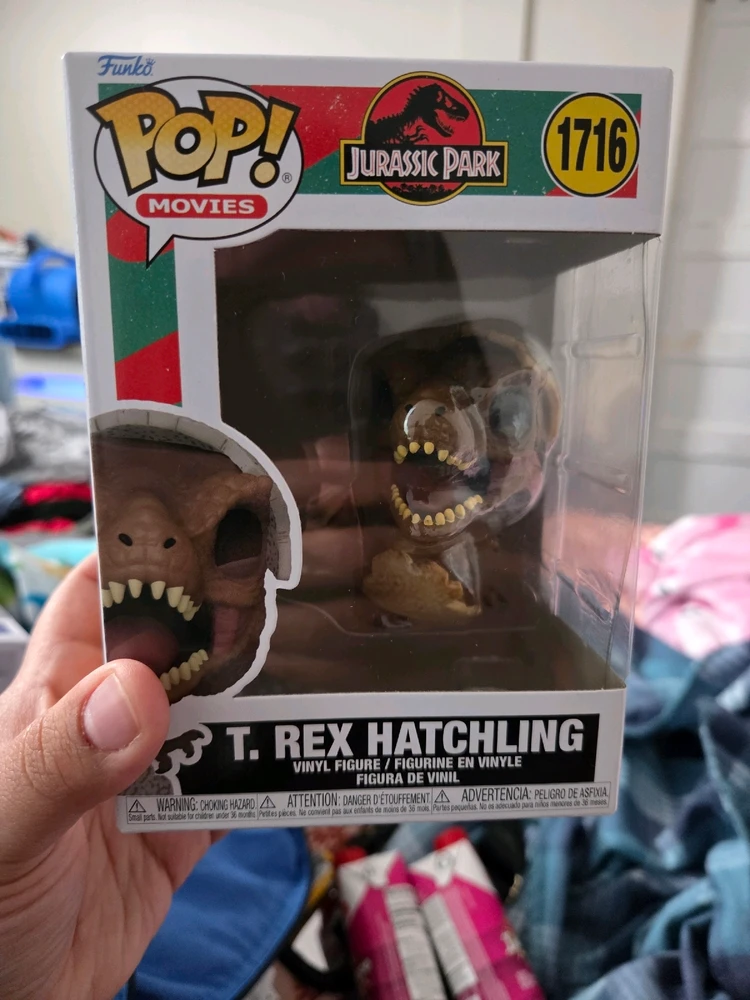 Image uploaded by Chelsea