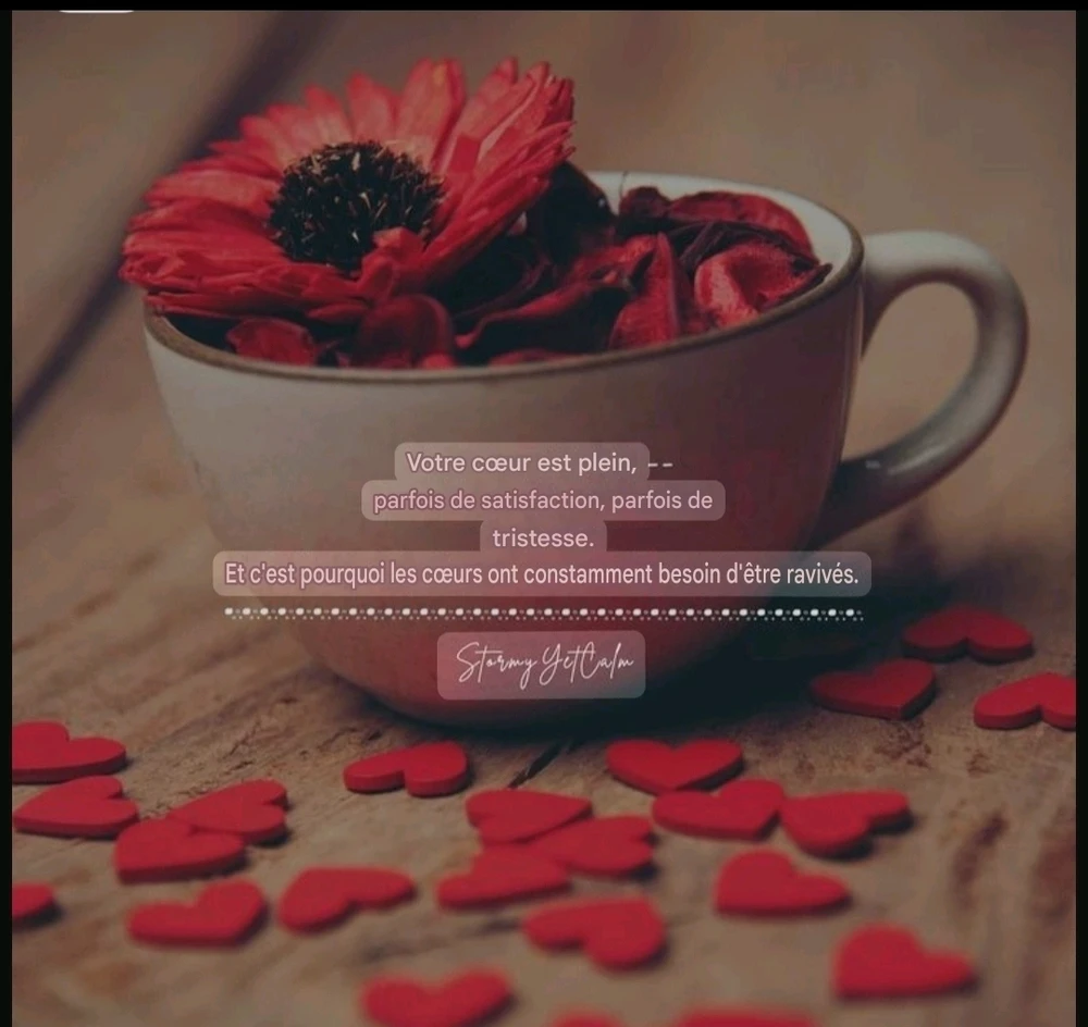 Citation du soir ✍️🌛📖