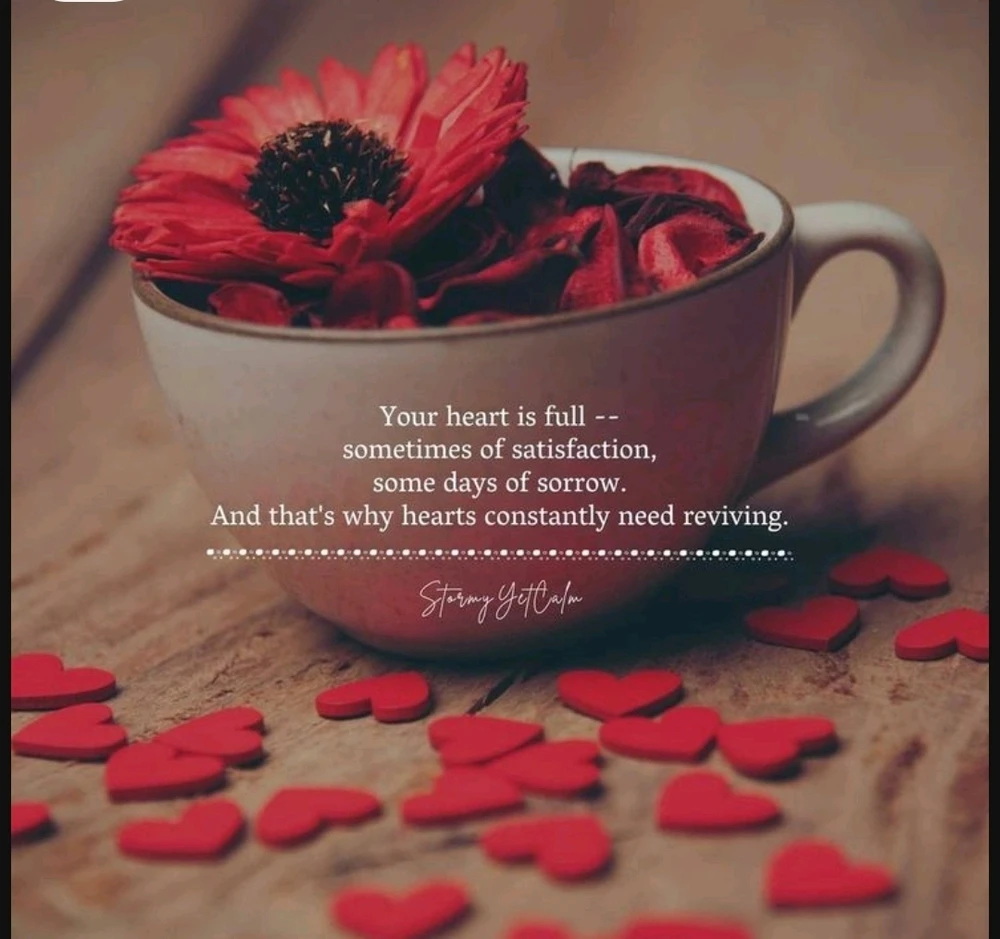 Citation du soir ✍️🌛📖