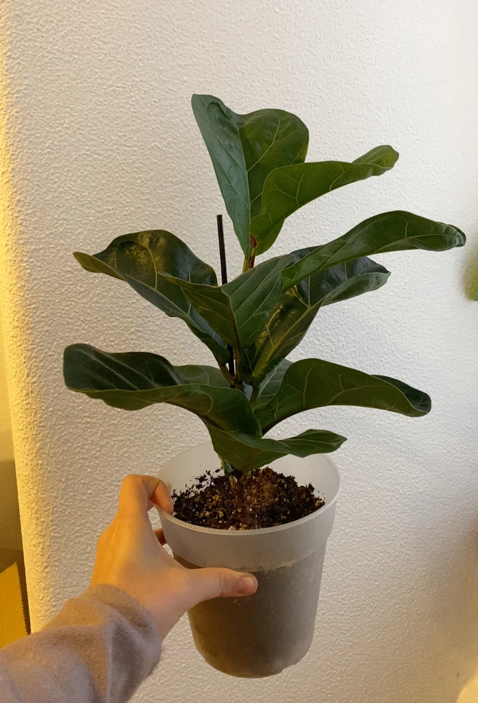 GIF enviado por Anastasiya