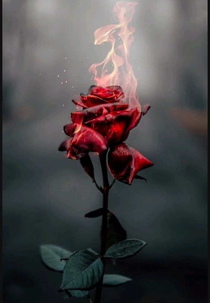 Mon écriture ✍️🌛