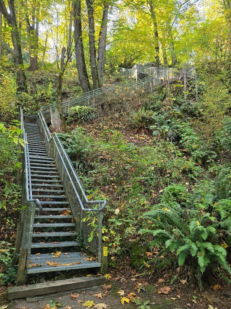 278 steps. Do this three or four times a week. The extra pounds will fall off