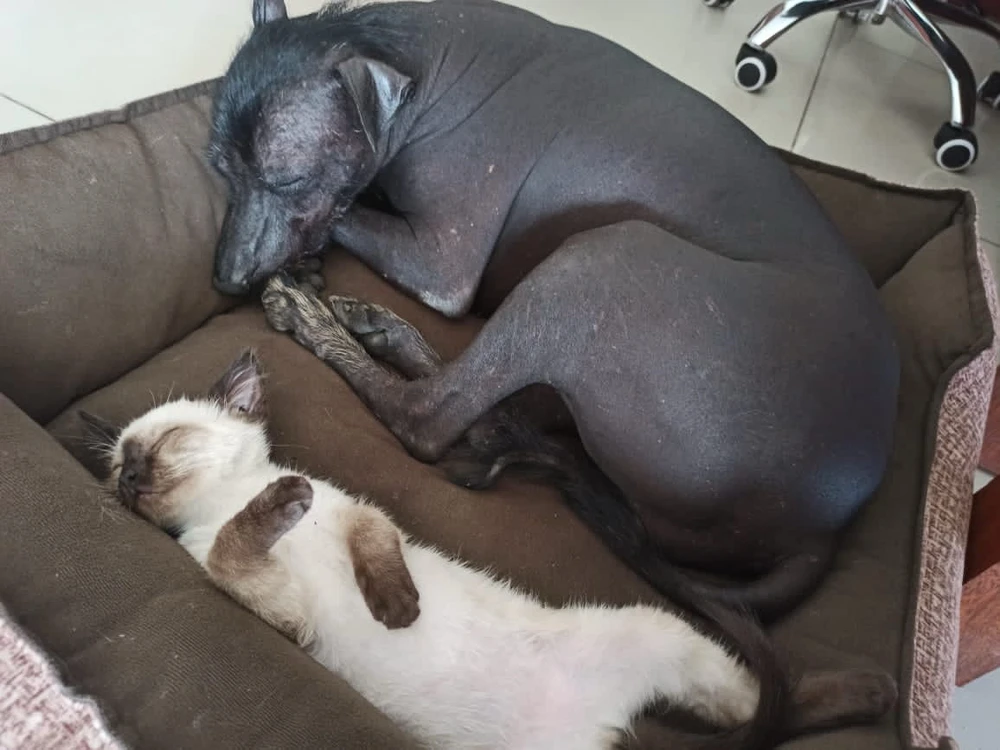 When it's time to share a bed