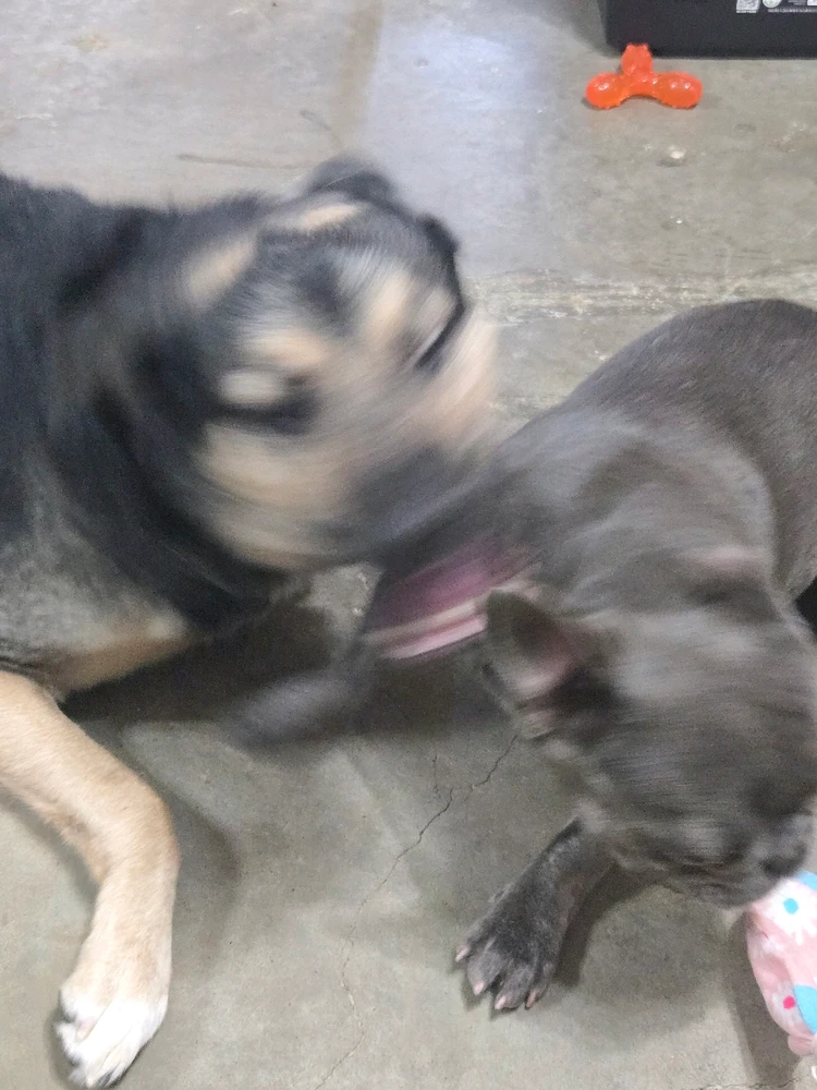 GIF uploaded by Selby