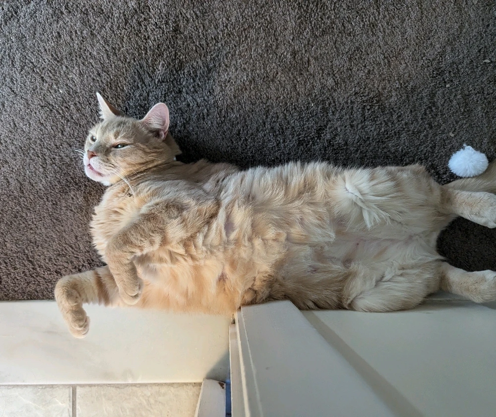 Image uploaded by Peter