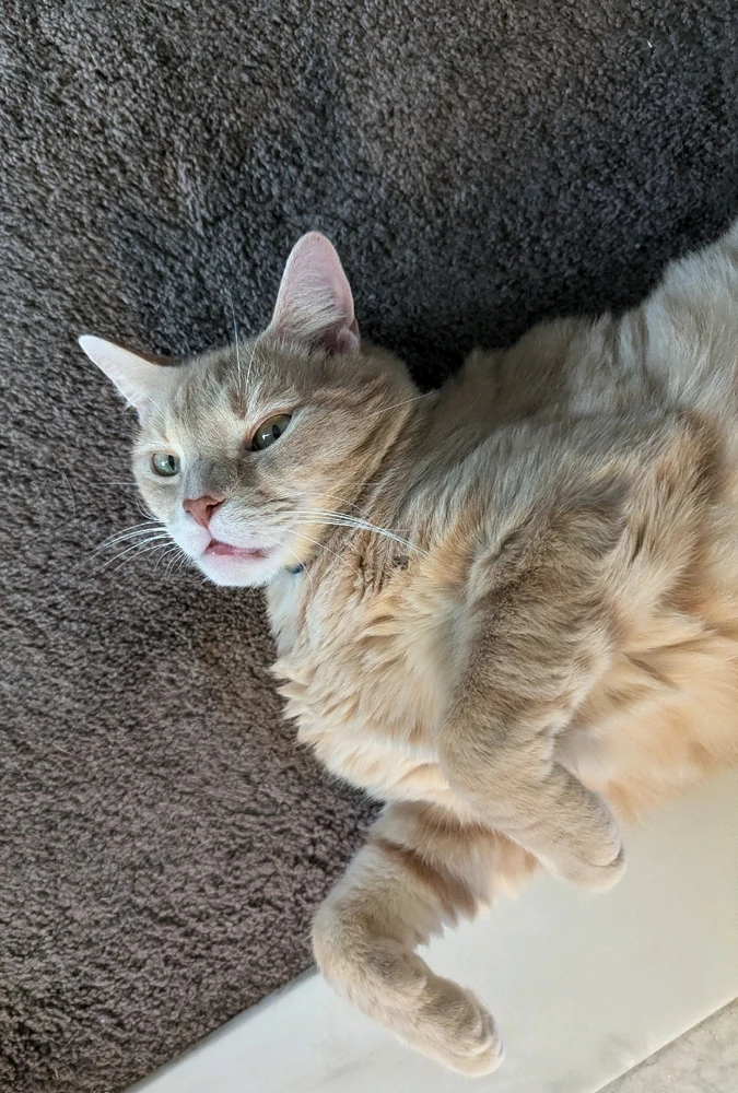 Image uploaded by Peter