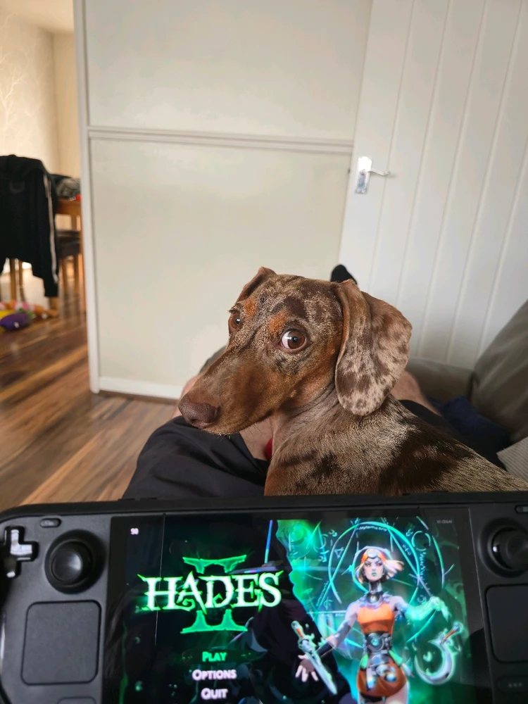 GIF uploaded by Matt