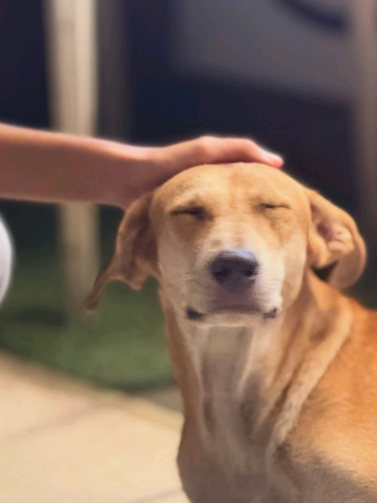 GIF diunggah ku Kushal