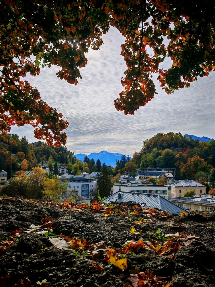 Fotku nahral/-a Marian