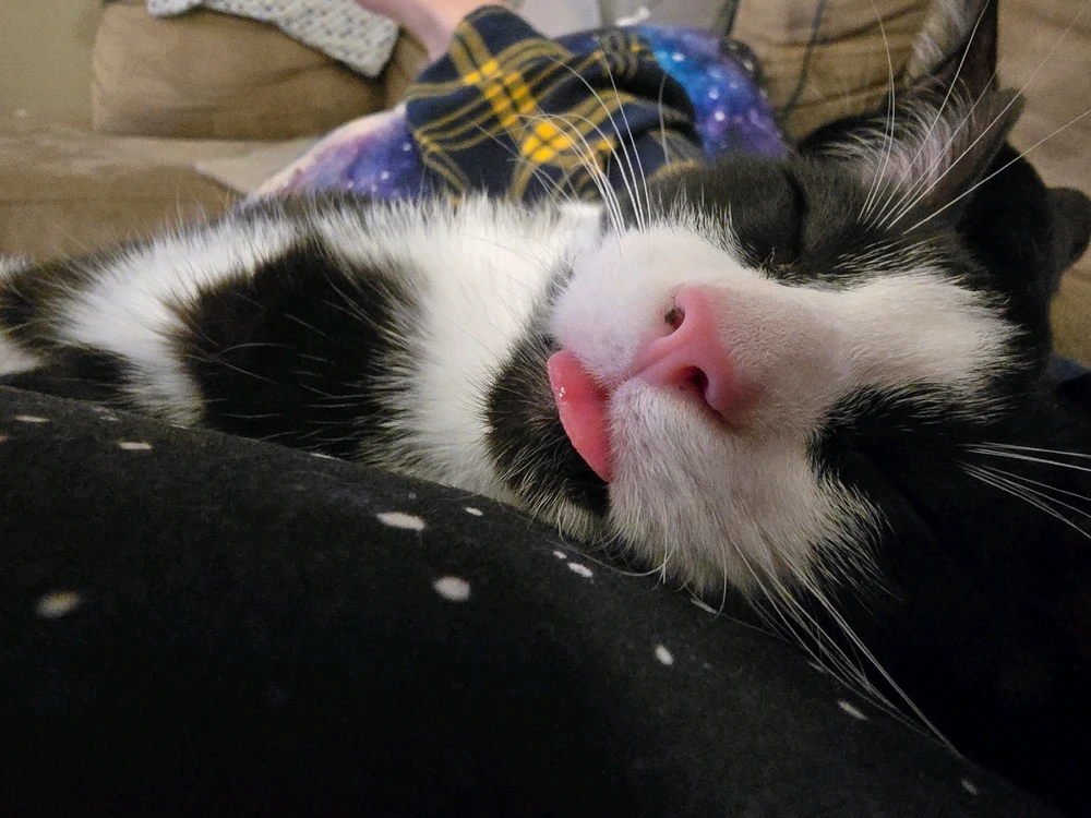 Image uploaded by Katie