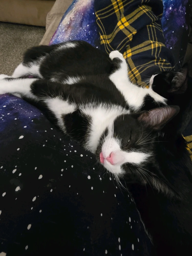 Image uploaded by Katie