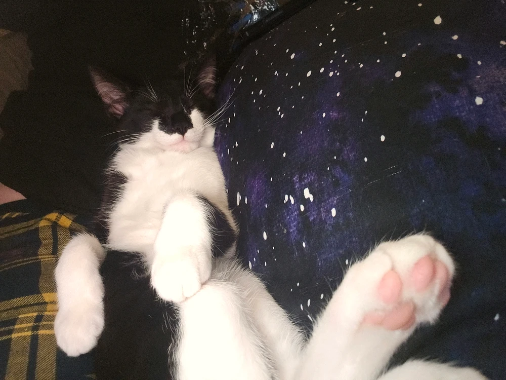 Image uploaded by Katie