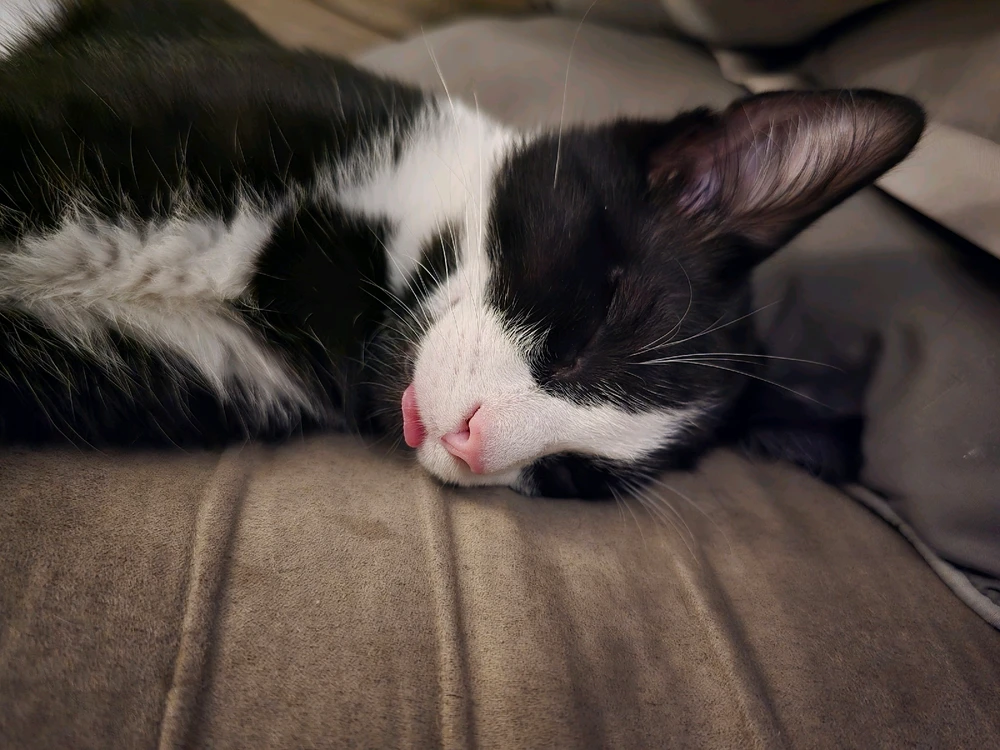 Image uploaded by Katie