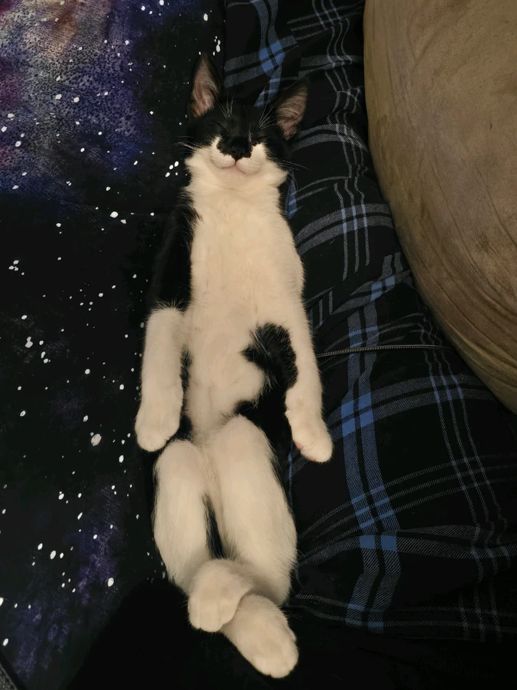 Image uploaded by Katie