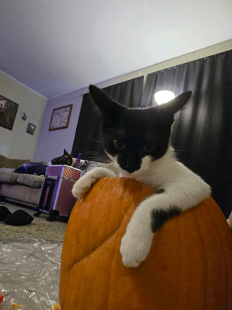 Image uploaded by Katie